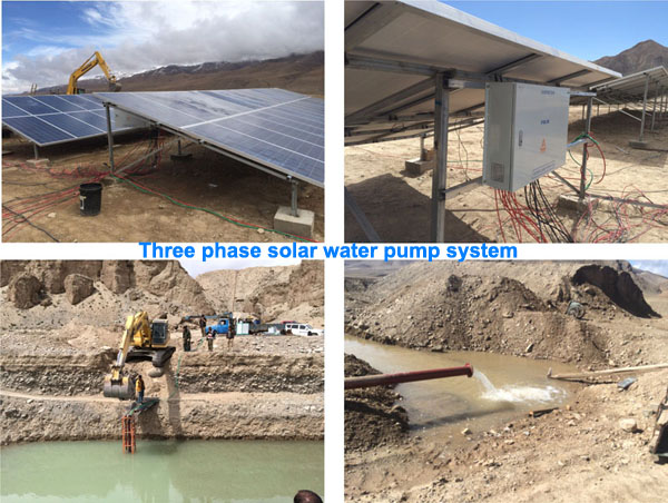 1617673077726349.jpg 1.jpg